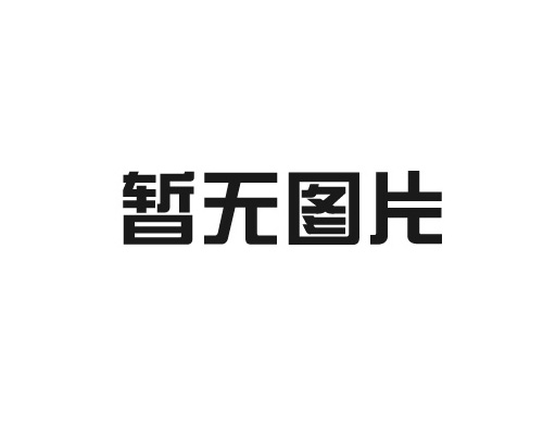 中国石油长庆天然气项目